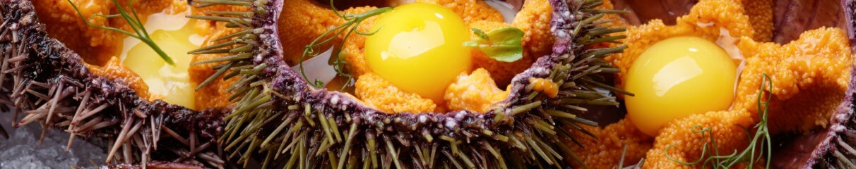 Самые свежие морские ежи!